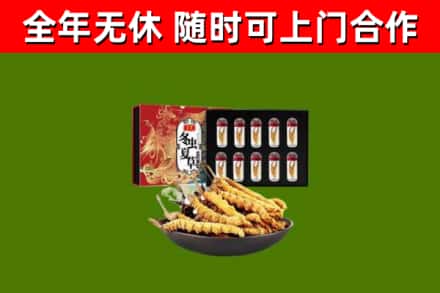 娄底回收冬虫夏草价格
